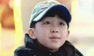 小爸爸文章手机 小爸爸文章手机