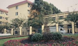 托普信息技术学院 托普信息技术学院