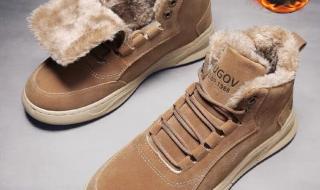 cartelo鳄鱼 cartelo鳄鱼