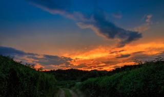 日落西山红霞飞歌词 日落西山红霞飞歌词