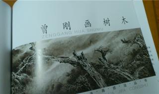 曾刚山水画技法 曾刚山水画技法