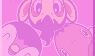 宠物小精灵珍珠钻石 宠物小精灵珍珠钻石