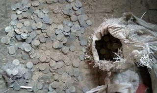 木字加一笔有24个字 木字加一笔有24个字