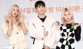 伊甸园综艺节目 伊甸园综艺节目