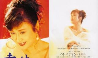 伤心太平洋日语版