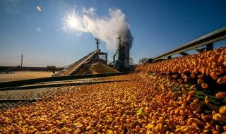 预言11月更大的灾难