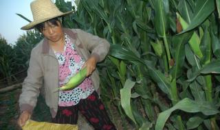 我会好好过 我会好好过