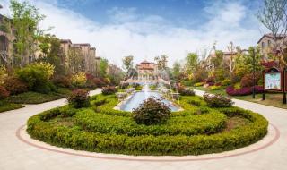 新郑北大附中 新郑北大附中