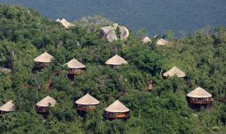 三亚鸟巢度假村 三亚鸟巢度假村