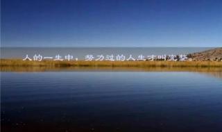 生命是多么的辉煌 生命是多么的辉煌