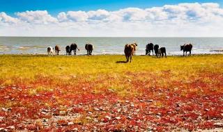 夏天与秋天的碰撞 夏天与秋天的碰撞