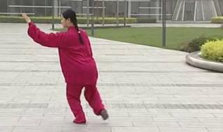 吴阿敏太极拳 吴阿敏太极拳