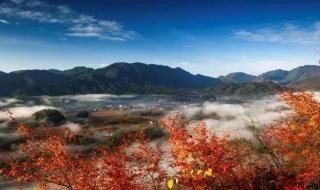 米仓山国家森林公园