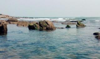 珠海旅游景点大全 珠海旅游景点大全