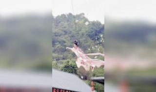 清明假期去哪玩 清明假期去哪玩