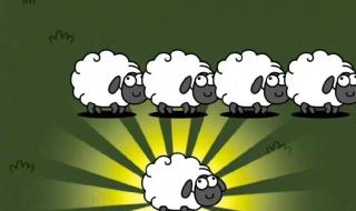 魔兽世界服务器比例 魔兽世界服务器比例