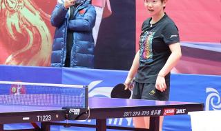 孙颖莎王楚钦是情侣吗 孙颖莎王楚钦是情侣吗